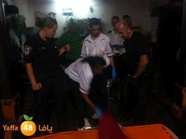 fall from apov 717 (14).jpg